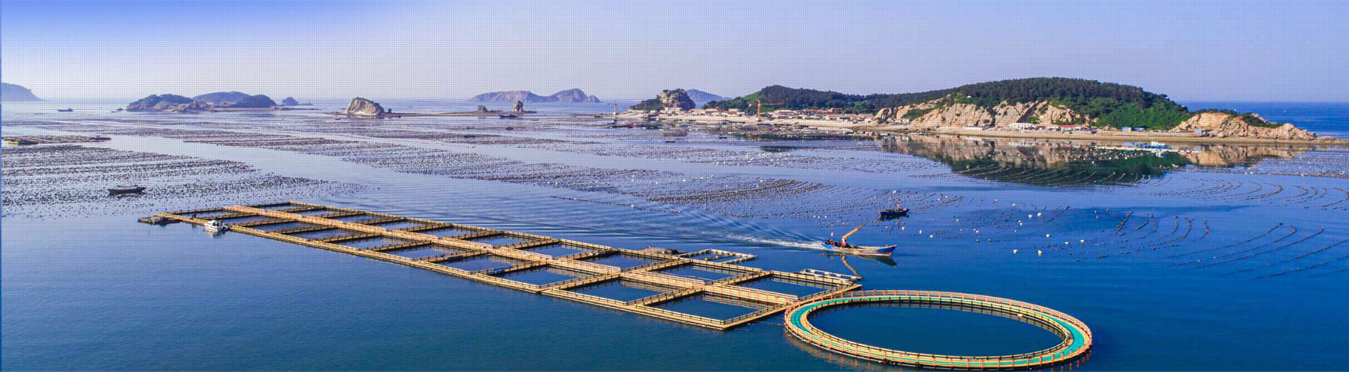 新闻资讯_尊龙网址登陆官网