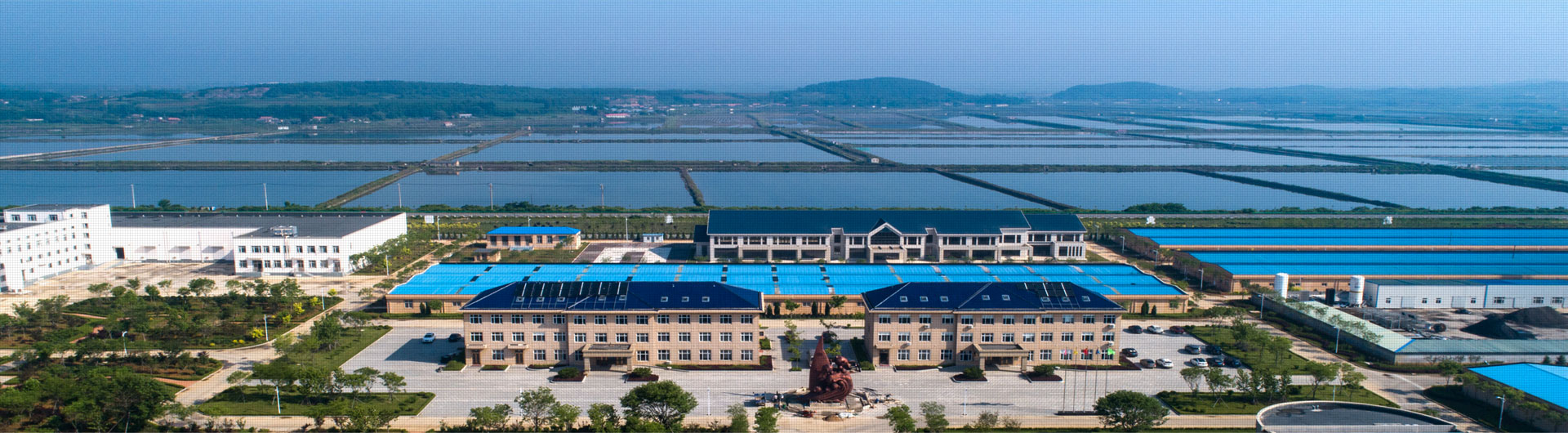 party building_Dalian Fugu Groups