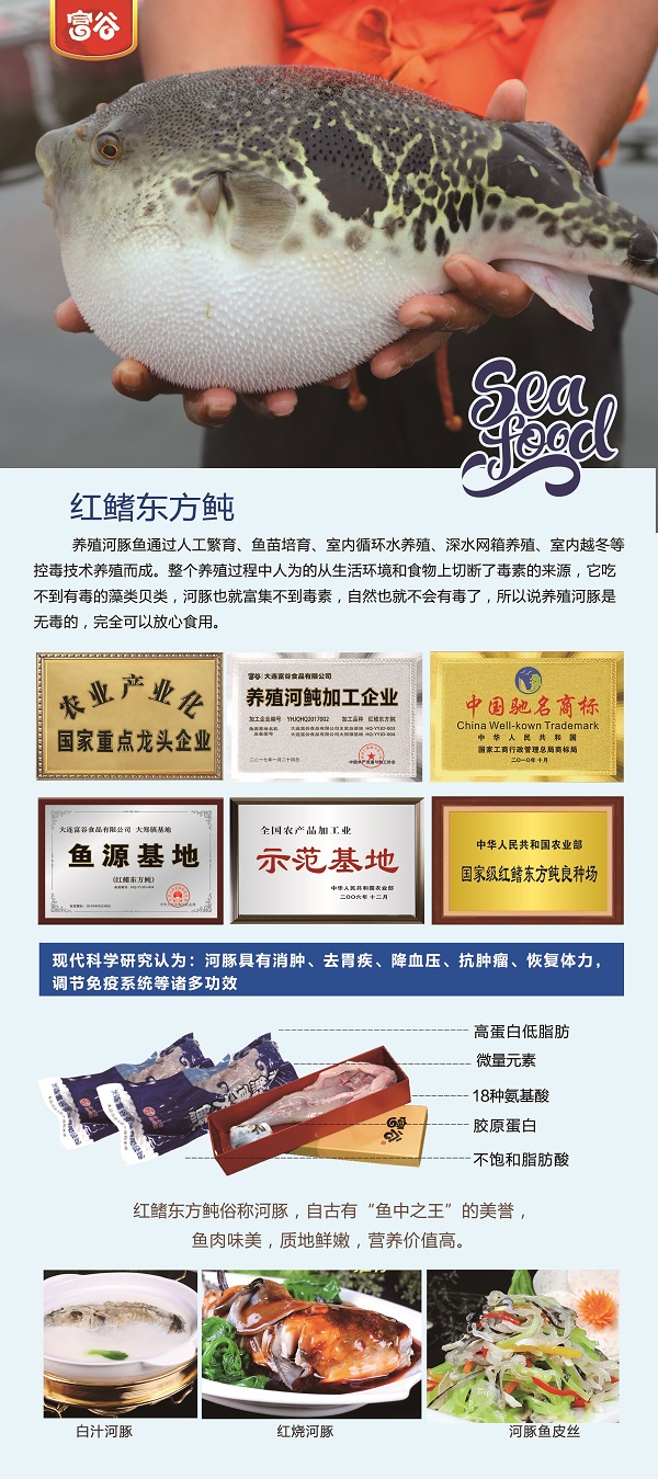 河豚营养x.jpg