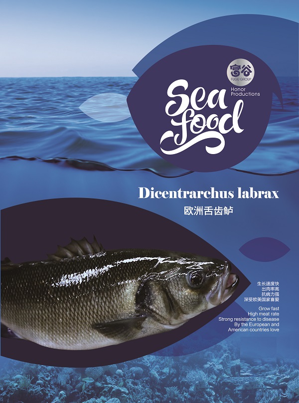舌齿鲈-01.jpg